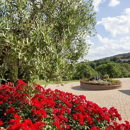 Poggio Pellicciaia *