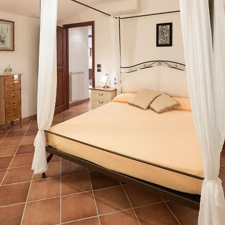 Poggio Pellicciaia Villa Arezzo